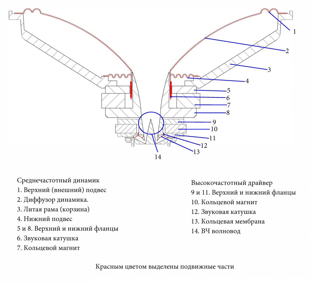 Строение динамика.jpg